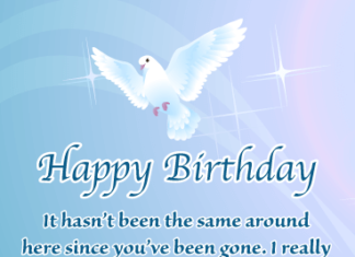 + 112 happy birthday wishes : Beautiful Dove – Happy Birthday Card for Everyone in Heaven | Birthday & Greeting Cards by Davia