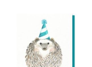 + 112 happy birthday wishes : Card – Hedgehog Birthday