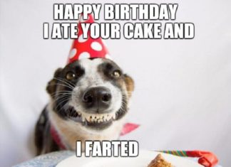 + 112 happy birthday wishes : Funny birthday captions for instagram