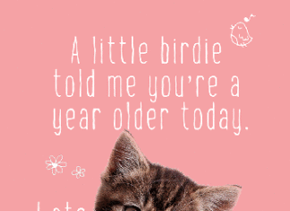 + 112 happy birthday wishes : fur birdie | birthday card