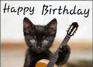 + 112 happy birthday wishes : 101 Funny Cat Birthday Memes for the Feline Lovers in Your Life