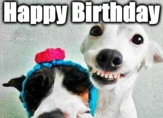 + 112 happy birthday wishes : Birthday Friend