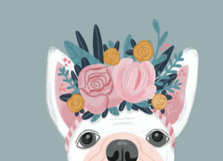 + 112 happy birthday wishes : French Bulldog – Birthday Card | Greetings Island