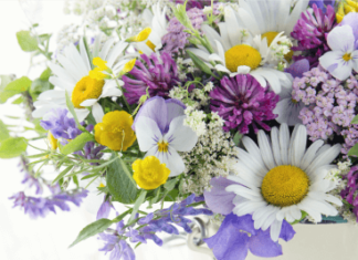 + 112 happy birthday wishes : Full of Love – Happy Birthday Card | Birthday & Greeting Cards by Davia