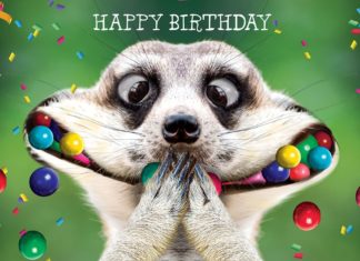 + 112 happy birthday wishes : Happy Birthday Animal Graphics