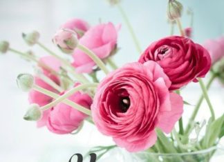 + 112 happy birthday wishes : Happy Birthday Images | The Best Collection