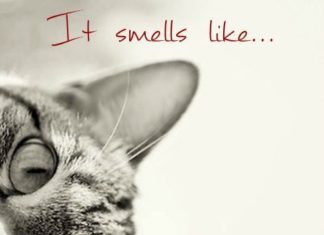 + 112 happy birthday wishes : The Best Birthday Wishes to Make Someone’s Birthday Special