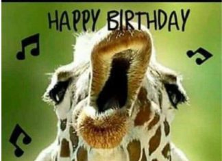 + 112 happy birthday wishes : 45 Funny Happy Birthday Meme Collection
