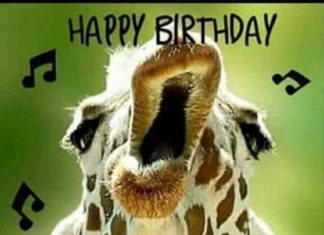 + 112 happy birthday wishes : 45 Funny Happy Birthday Meme Harvest