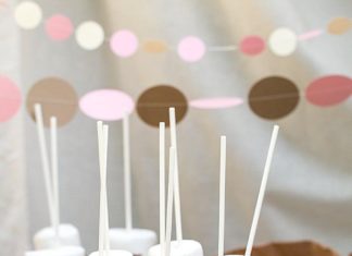 + 74 birthday party decorations : Easy S’more Pop Party Favors