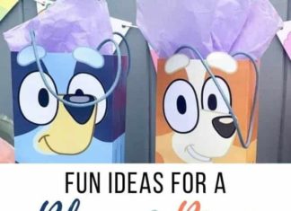 + 74 birthday party decorations : Bluey Birthday Party Ideas Kids Will Love