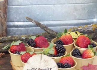 + 74 birthday party decorations : DIY Woodland Animals Party Food Labels – Joy in the Commonplace