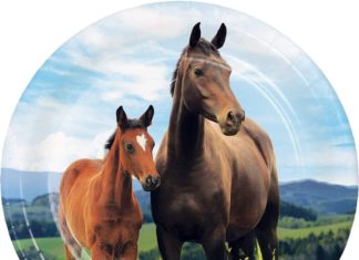 + 74 birthday party decorations : Horse Party Dessert Plates