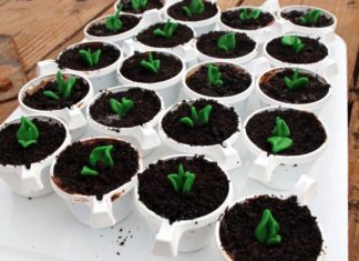 + 74 birthday party decorations : Wall-E Birthday Party