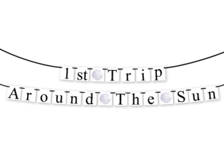 + 74 birthday party decorations : 1st Trip Around The Sun Banner